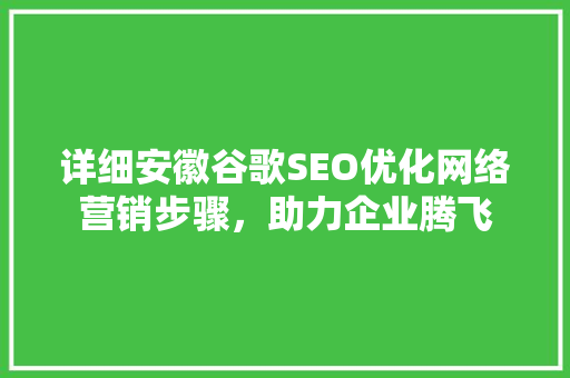 详细安徽谷歌SEO优化网络营销步骤，助力企业腾飞