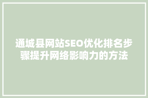 通城县网站SEO优化排名步骤提升网络影响力的方法  第1张