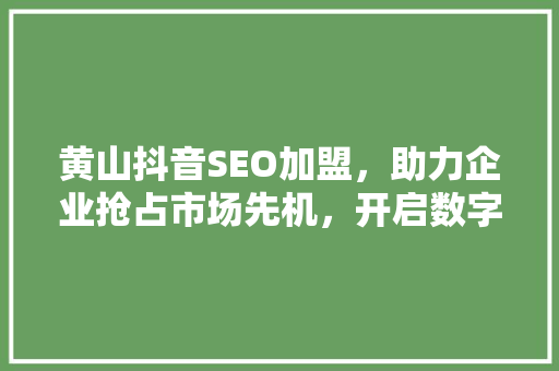 黄山抖音SEO加盟，助力企业抢占市场先机，开启数字营销新篇章