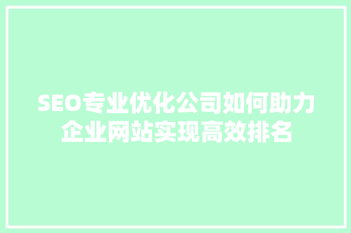 SEO专业优化公司如何助力企业网站实现高效排名  第1张