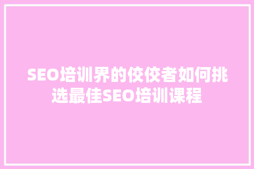 SEO培训界的佼佼者如何挑选最佳SEO培训课程