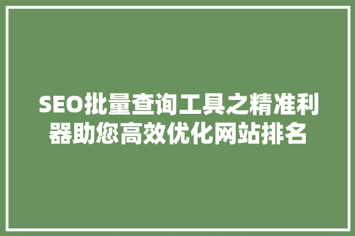 SEO批量查询工具之精准利器助您高效优化网站排名