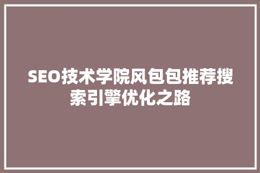 SEO技术学院风包包推荐搜索引擎优化之路