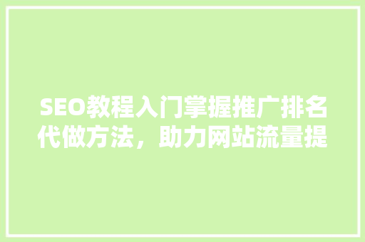 SEO教程入门掌握推广排名代做方法，助力网站流量提升