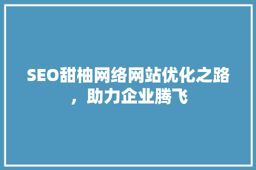 SEO甜柚网络网站优化之路，助力企业腾飞
