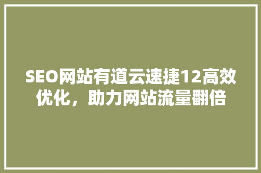 SEO网站有道云速捷12高效优化，助力网站流量翻倍