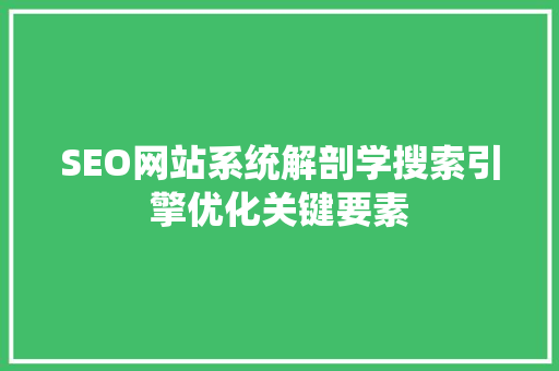 SEO网站系统解剖学搜索引擎优化关键要素  第1张