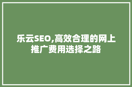 乐云SEO,高效合理的网上推广费用选择之路