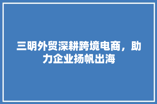 三明外贸深耕跨境电商，助力企业扬帆出海
