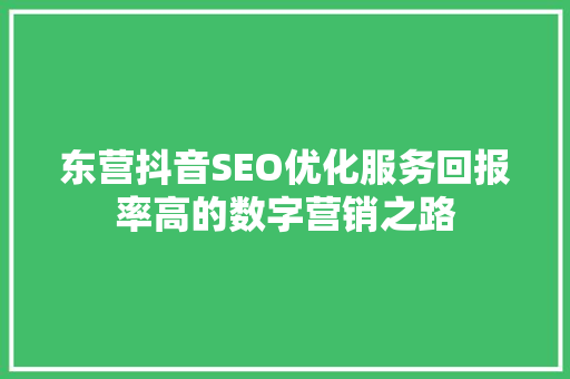 东营抖音SEO优化服务回报率高的数字营销之路