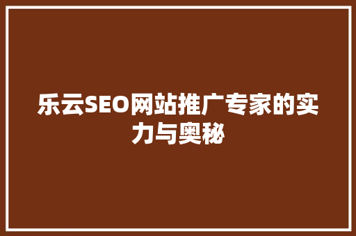 乐云SEO网站推广专家的实力与奥秘