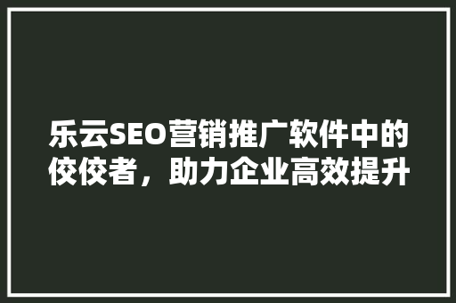 乐云SEO营销推广软件中的佼佼者，助力企业高效提升网站排名  第1张