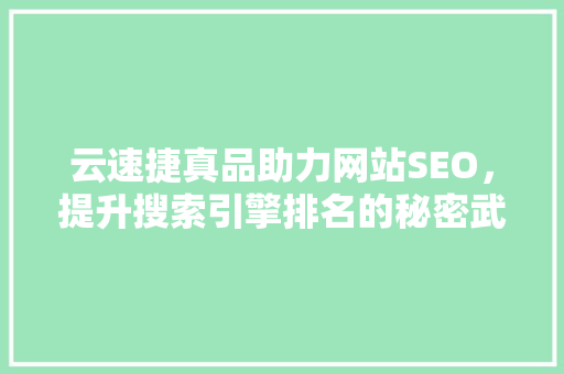 云速捷真品助力网站SEO，提升搜索引擎排名的秘密武器