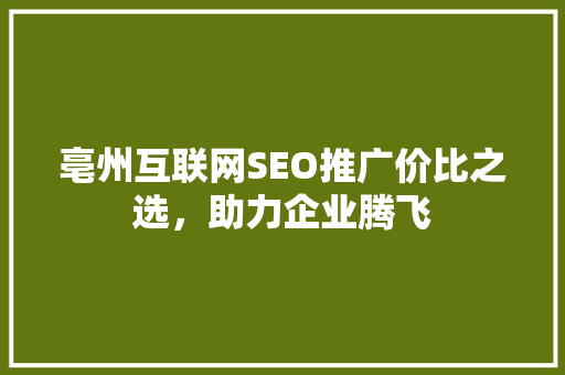 亳州互联网SEO推广价比之选，助力企业腾飞
