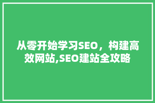 从零开始学习SEO，构建高效网站,SEO建站全攻略