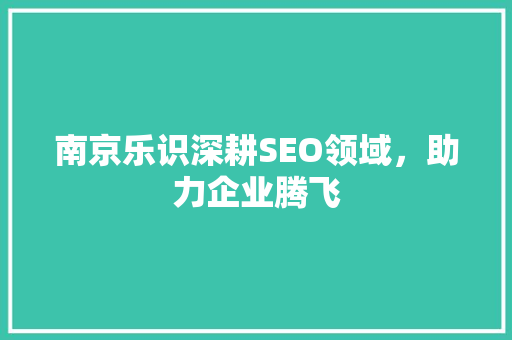南京乐识深耕SEO领域，助力企业腾飞