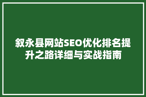 叙永县网站SEO优化排名提升之路详细与实战指南