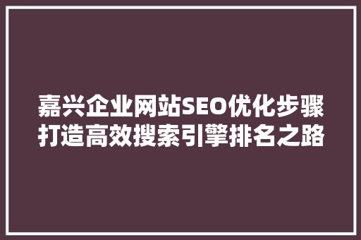 嘉兴企业网站SEO优化步骤打造高效搜索引擎排名之路