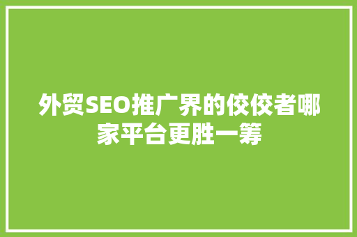 外贸SEO推广界的佼佼者哪家平台更胜一筹