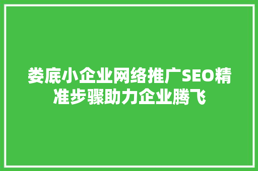 娄底小企业网络推广SEO精准步骤助力企业腾飞