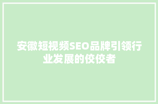 安徽短视频SEO品牌引领行业发展的佼佼者  第1张