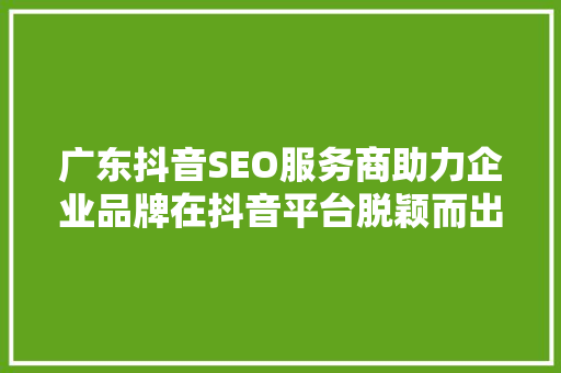 广东抖音SEO服务商助力企业品牌在抖音平台脱颖而出