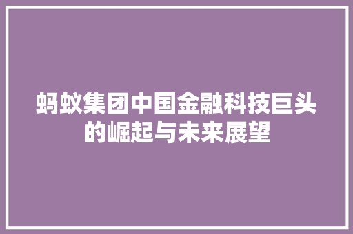 蚂蚁集团中国金融科技巨头的崛起与未来展望