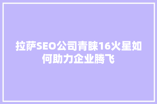 拉萨SEO公司青睐16火星如何助力企业腾飞
