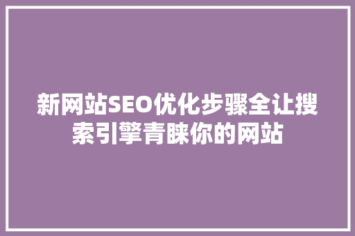 新网站SEO优化步骤全让搜索引擎青睐你的网站