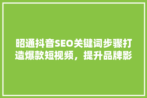 昭通抖音SEO关键词步骤打造爆款短视频，提升品牌影响力