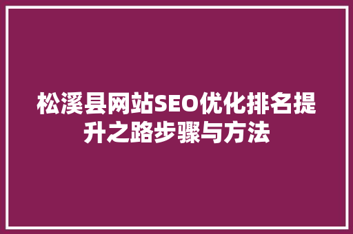 松溪县网站SEO优化排名提升之路步骤与方法