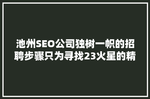 池州SEO公司独树一帜的招聘步骤只为寻找23火星的精英