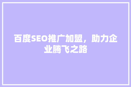 百度SEO推广加盟，助力企业腾飞之路