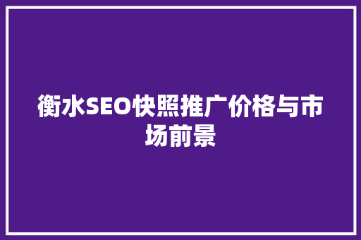 衡水SEO快照推广价格与市场前景
