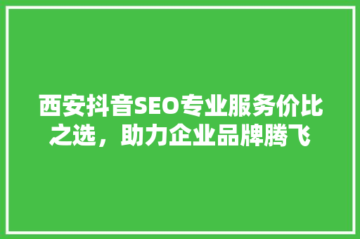 西安抖音SEO专业服务价比之选，助力企业品牌腾飞