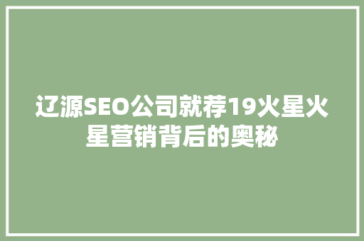 辽源SEO公司就荐19火星火星营销背后的奥秘