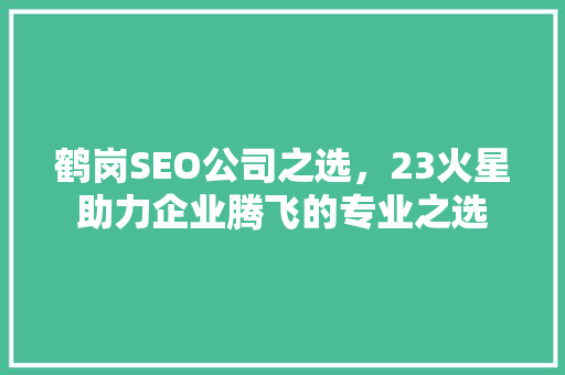 鹤岗SEO公司之选，23火星助力企业腾飞的专业之选
