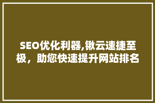 SEO优化利器,锹云速捷至极，助您快速提升网站排名