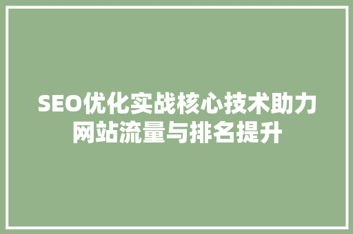 SEO优化实战核心技术助力网站流量与排名提升  第1张