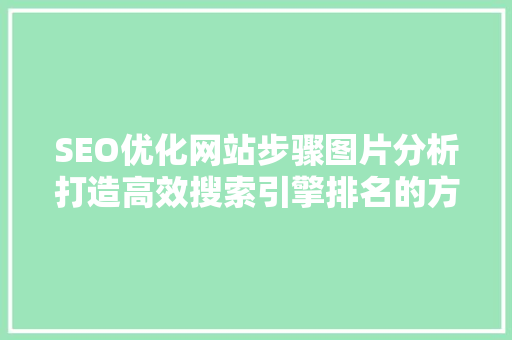 SEO优化网站步骤图片分析打造高效搜索引擎排名的方法  第1张
