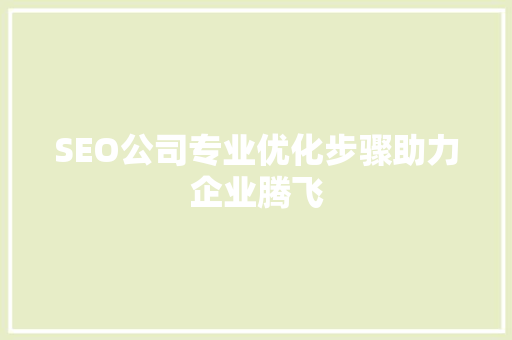SEO公司专业优化步骤助力企业腾飞