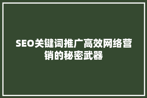 SEO关键词推广高效网络营销的秘密武器