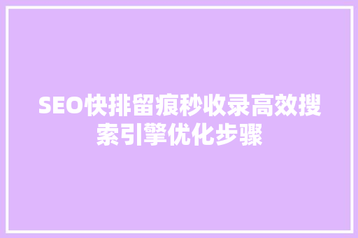 SEO快排留痕秒收录高效搜索引擎优化步骤  第1张