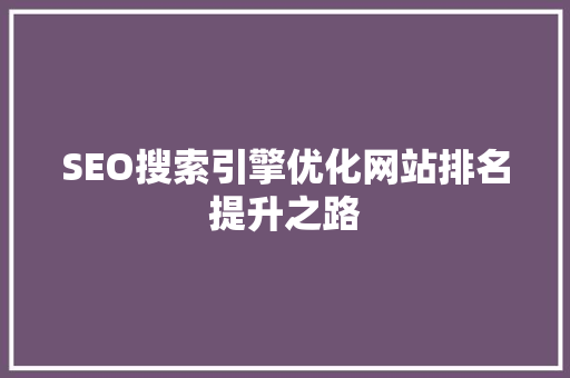 SEO搜索引擎优化网站排名提升之路