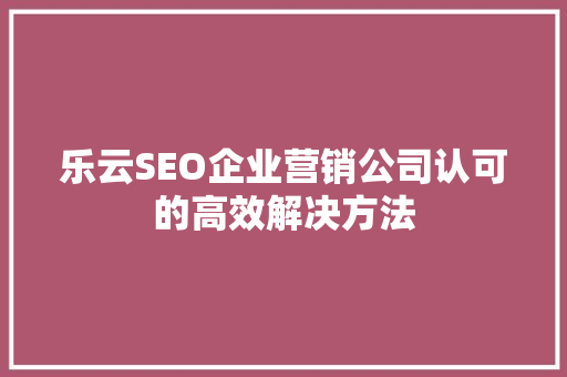 乐云SEO企业营销公司认可的高效解决方法