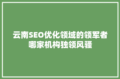 云南SEO优化领域的领军者哪家机构独领风骚