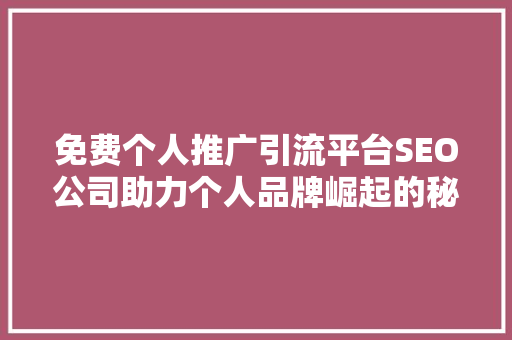 免费个人推广引流平台SEO公司助力个人品牌崛起的秘密武器