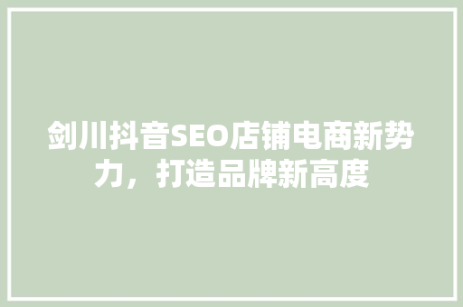 剑川抖音SEO店铺电商新势力，打造品牌新高度