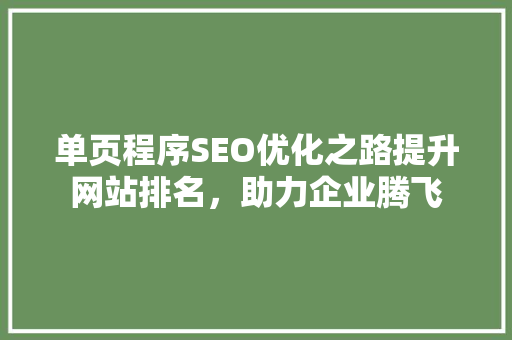 单页程序SEO优化之路提升网站排名，助力企业腾飞