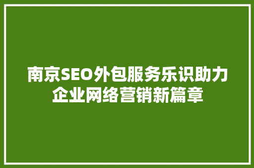南京SEO外包服务乐识助力企业网络营销新篇章